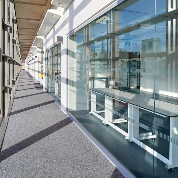 a hallway and office space separated by glass partitions